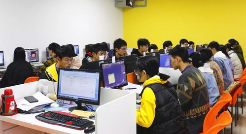 喜報 | 我校在“巴渝工匠杯”2019年重慶市互聯(lián)網(wǎng)信息技術職業(yè)技能競賽中榮獲佳績