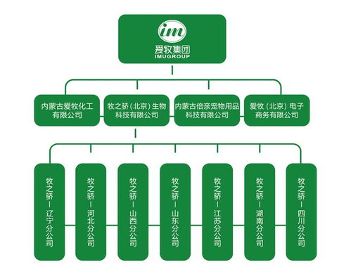 牧之驕產品匠心獨具，愛牧集團畜博會溢彩流光——網絡文化經營賦能現代畜牧業